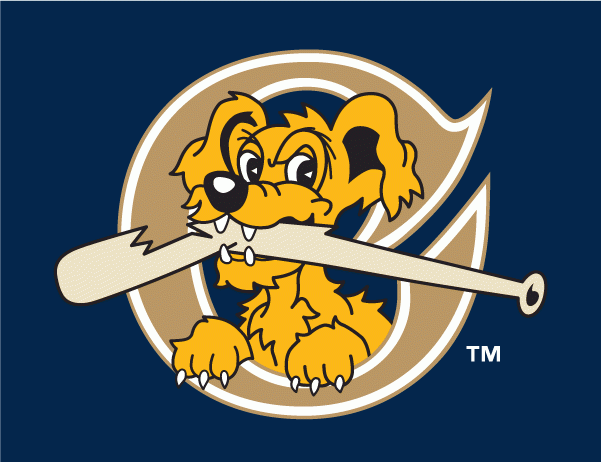 Charleston Riverdogs 2011-2015 Cap Logo v3 iron on heat transfer